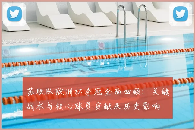 苏联队欧洲杯夺冠全面回顾：关键战术与核心球员贡献及历史影响