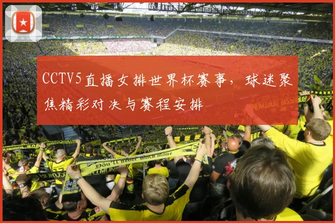 CCTV5直播女排世界杯赛事,球迷聚焦精彩对决与赛程安排