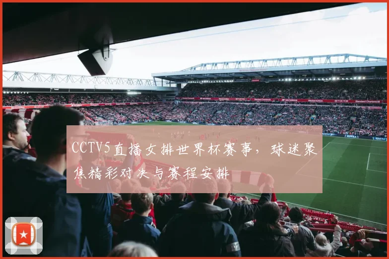 CCTV5直播女排世界杯赛事,球迷聚焦精彩对决与赛程安排